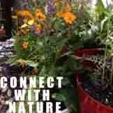 connect-nature